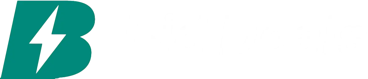 BidDeals Logo